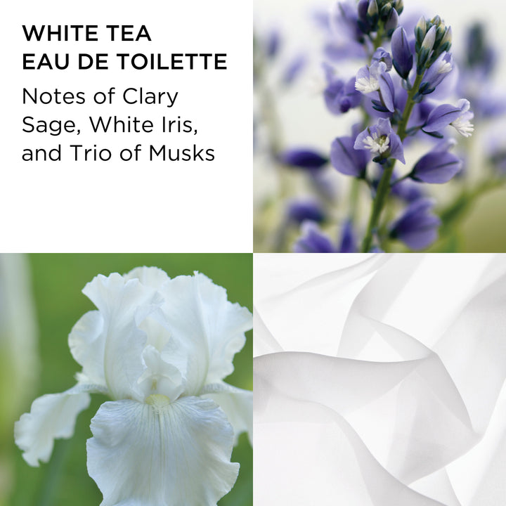 Fragrance Notes Pictured