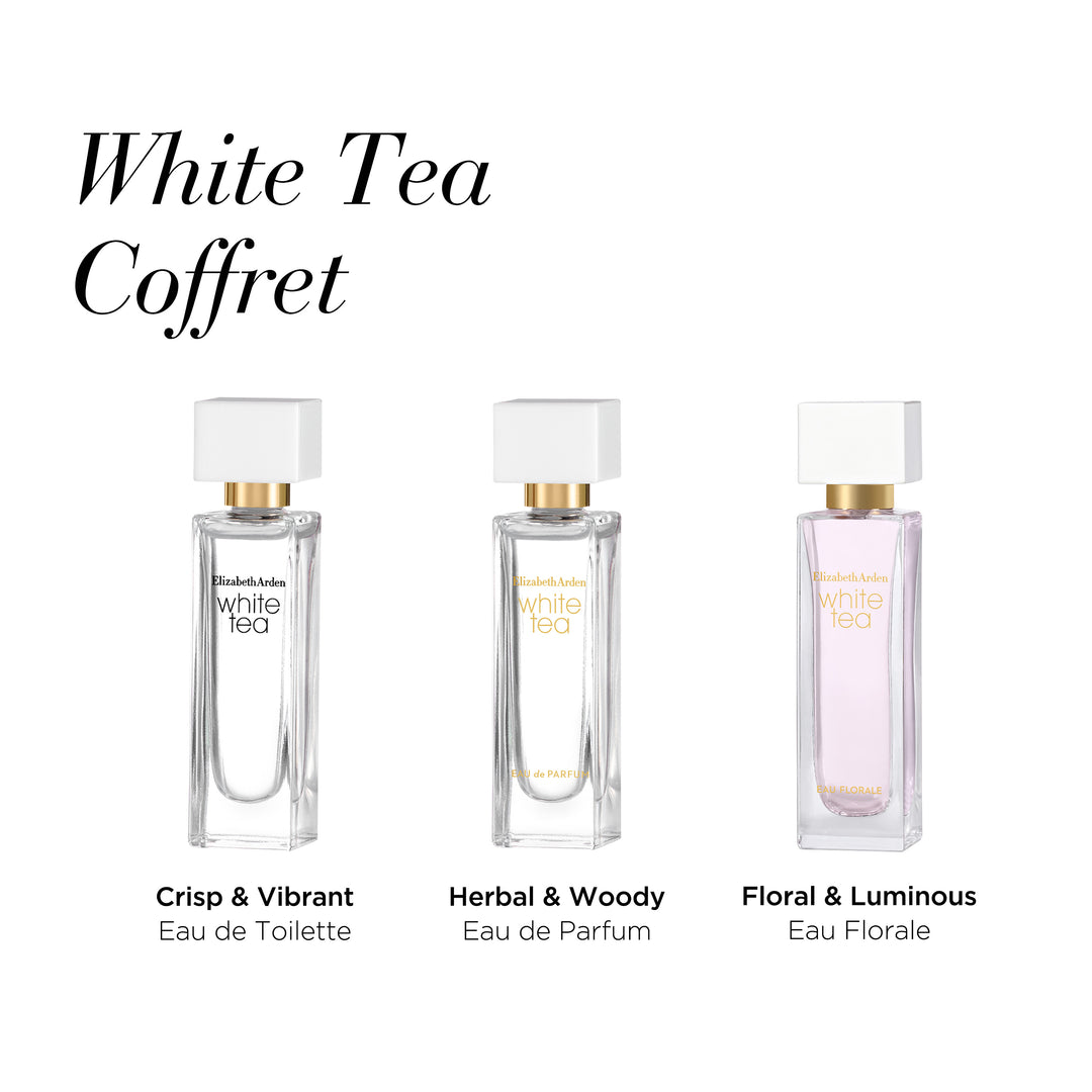 3 Fragrances in Set