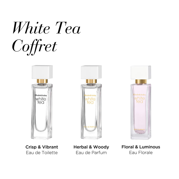 3 Fragrances in Set