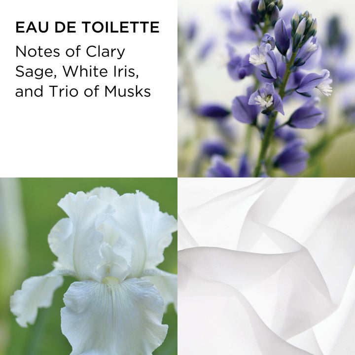 Fragrance Notes Pictured